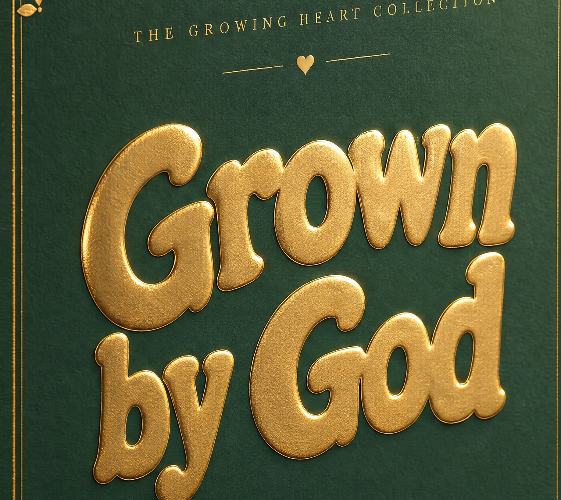Close-up of the raised gold-foil lettering on the green slipcase